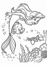 Ariel Popular sketch template