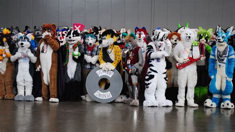 9 questions about furries you were too embarrassed to ask vox