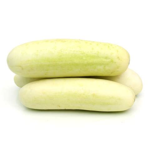 buy fresho cucumber white  kg    price  rs  bigbasket