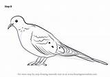 Dove Mourning Draw Drawing Step Birds Tutorials Drawingtutorials101 Animals sketch template