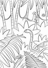 Selva Paisagem Foresta Escena Landschaft Landscape Kolorowanka Tramonto Animali Floresta Sul Categorías Florestas Tropicais Wasserfall Drukuj Amordepapeis sketch template