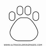 Paw Coloring Print Pages sketch template