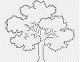 Mewarnai Tanaman Pohon sketch template