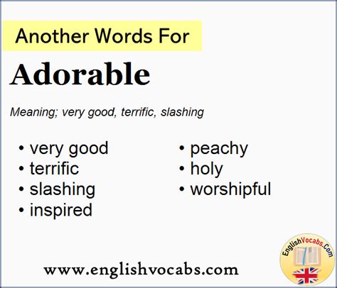 another word for adorable what is another word adorable english vocabs