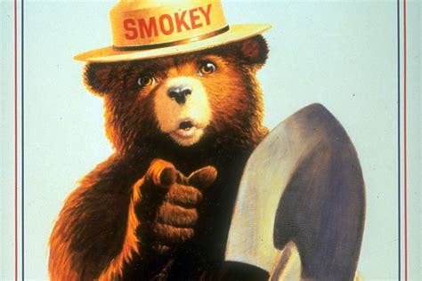 smokey bear  tv     york post