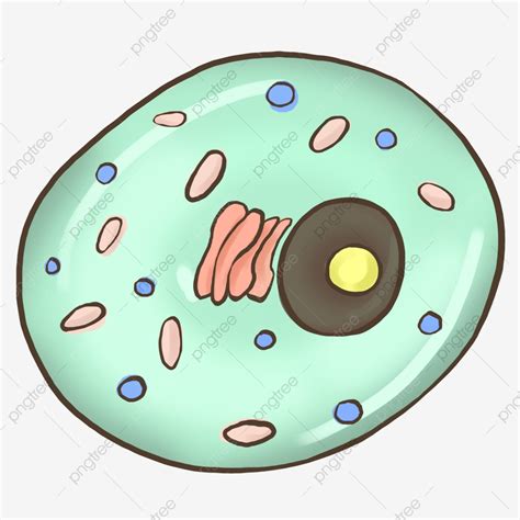 cute cell phone clipart hd png cell green cute medical  cells
