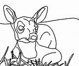 Deer Tailed Buck Fighting Coloring Template sketch template