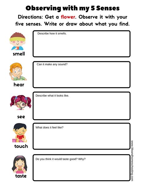 senses printable worksheets   teachers