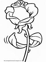 Bunga Coloring Gambar Pages Untuk Mewarnai Flower Mawar Paud Putih Hitam Anak Tk Kids Kartun Menggambar Template Outline Pelajaran Printable sketch template