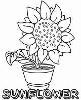 Sunflowers Really Topcoloringpages sketch template