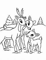 Coloring Pages Reindeer Printable Kids Rudolph sketch template