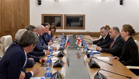 Meeting Of Mikheil Sarjveladze With The Delegation Of The Senate Of The