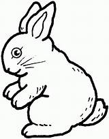 Rabbit Coloring Pages Bunny Kids Outline Print Rabbits Printable Drawing Cartoon Gif sketch template