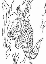 Krokodile Krokodil Malvorlage Ausmalbild Stimmen sketch template