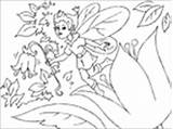 Fairy Coloring Pages Flower Edupics Large sketch template