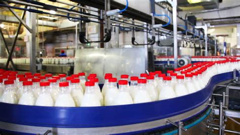 fresh milk poured into bottles screwed red caps and send to consumers stock footage video