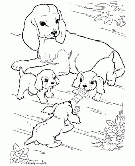 realistic puppy coloring pages   print