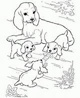 Dog Coloring Puppy Pages Play Printable Kids Dogs Animal Color Pag Sheets Her sketch template