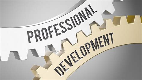 importance  professional development   career
