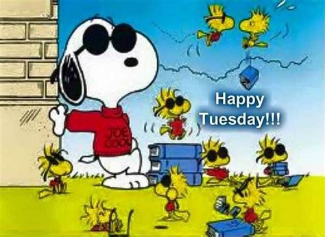 happy snoopy tuesday pictures   images  facebook tumblr