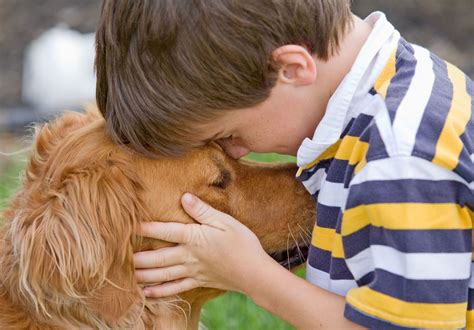 importance  therapy animals  pets  general  healing