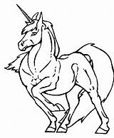 Licorne Cheval Unicorn Unicorns Ecrire sketch template