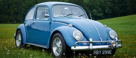 bugs volkswagen announces   beetle production  daily