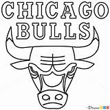 Bulls Drawdoo sketch template
