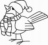 Vogel Vogels Schal Oiseaux Dot Muetze Pajaros Malvorlage Kleuters Paginas Ausmalbild sketch template