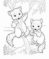 Animals Pages Coloring Zoo Cartoon Printable Getcolorings sketch template