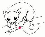 Possum Drawing Coloring Pages Draw Tail Hanging Brush Days Deviantart Getdrawings Aboriginal sketch template