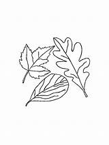 Bladeren Blaadjes Kleurplaten Kleurplaat Ausmalbilder Leaves Blatter Feuilles Foglie Animaatjes Gifgratis sketch template