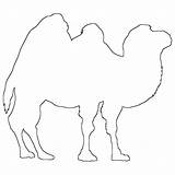 Camel Outline Coloring Pages Popular sketch template
