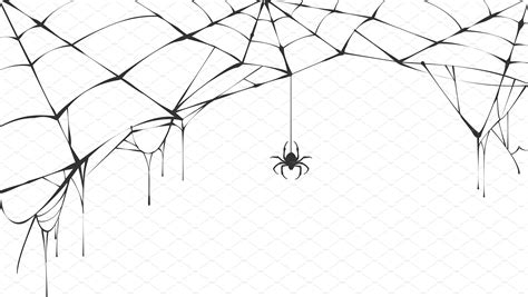 set  spider web  halloween spider web illustration art spider