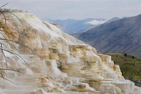 canary spring was the most beautiful spot of the mammoth hot springs