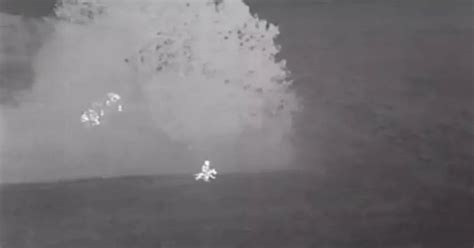 dramatic drone footage shows police officers swooping  alleged poachers hiding