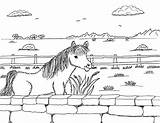 Icelandic Horse Stone Wall Robin Coloring Pages Great sketch template