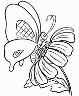 Butterfly Kolorowanki Motyle Papillon Schmetterling Kolorowania Mariposas Owady Colorear Obrazki Motylami Butterflies Najpiękniejsze sketch template