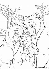Koda Fratello Orso Oso Hermano Frere Ours Kenai Colorir Bärenbrüder Ausmalbild Desenhos Malvorlagen Bord sketch template