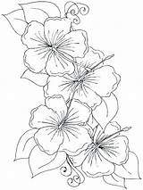 Orchid Coloring Pages Flower Orchids Color Printable Print Getcolorings Getdrawings sketch template