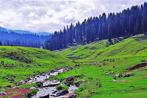 the best time to visit gulmarg trans india travels