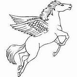 Pegasus Winged sketch template