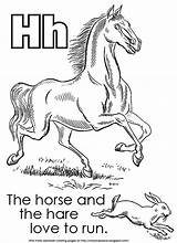 Horse Coloring Hare Alphabet sketch template