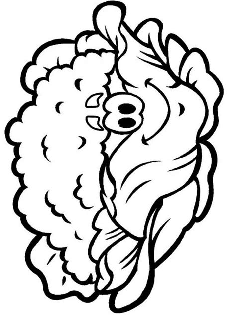 cauliflower coloring pages