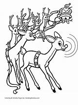 Reindeer Rudolph Rentier Renos Nosed Rudolf Sleigh Renas Papai Nose Desenhos Gratis Colorir Reindeers sketch template