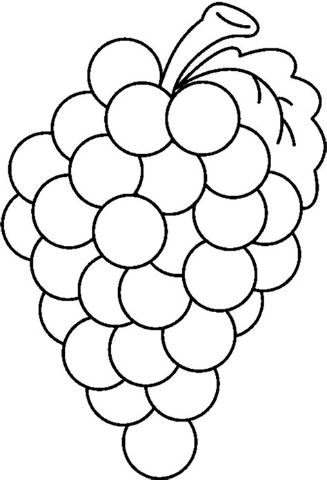 grape vine coloring page coloring pages