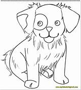 Coloring Pages Animal Quality High Seiten Farben Tier Farbe Qualität Hohe sketch template