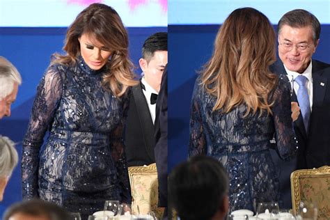 Melania Trump Made A Naked Dress Look Appropriate For A Presidential