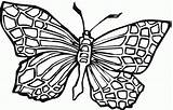 Butterfly Monarch Cartoon Pages Clipart Coloring Colouring Library Kids sketch template