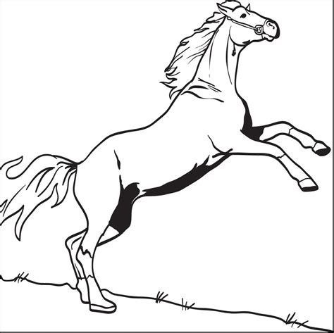 bucking horse coloring pages  getcoloringscom  printable
